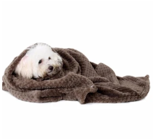 Ultra Soft Pup blanket