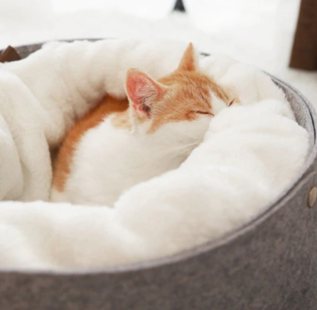 Calming Cat Bed