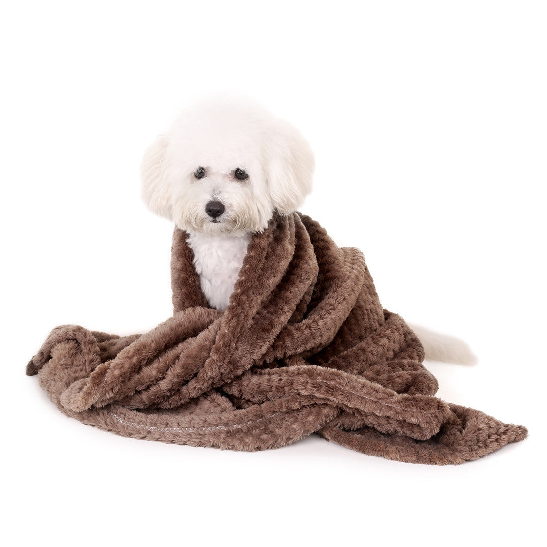 Ultra Soft Pup blanket